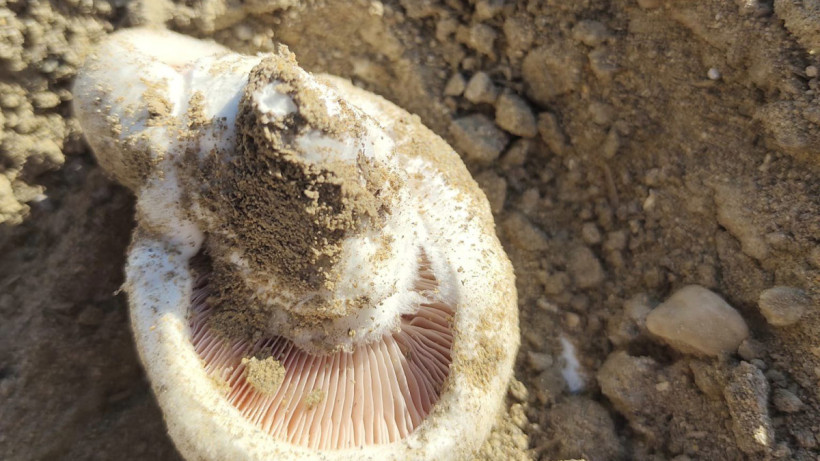  facebook.com/mzhetekbaev70 