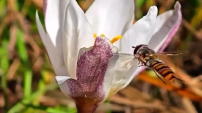  Кадр из видео 