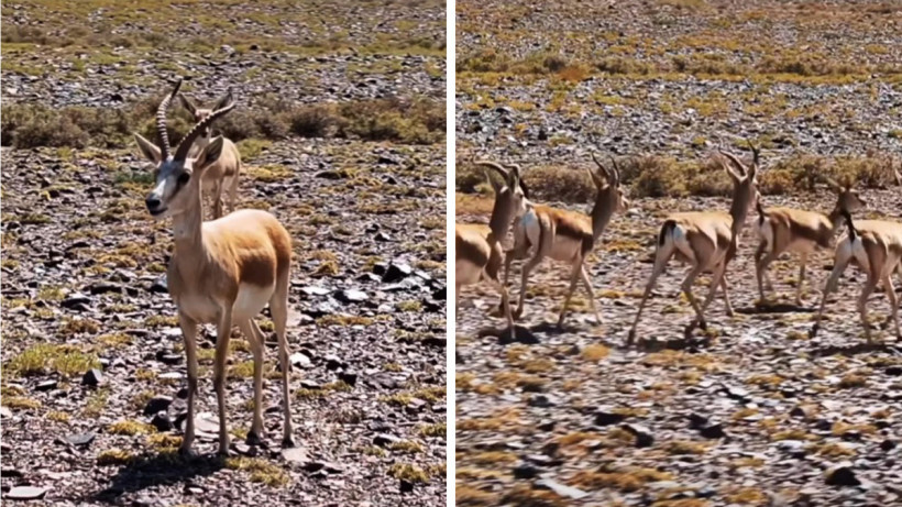  Кадр из видео 