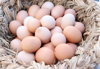 Елімізде жұмыртқа бағасы тұрақтандырылады