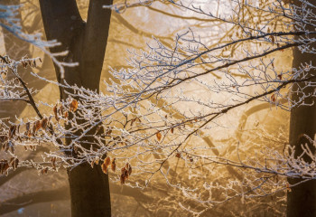 Қазақстанның әр өңірінде қандай ауа райы күтіледі