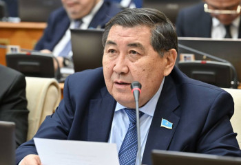 Депутат ұрланған активтерді елге қайтарумен айналысатын комитет жұмысын сынға алды