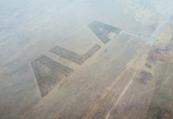 Алматыдағы бақ Гиннесс рекордтар кітабына енуі мүмкін