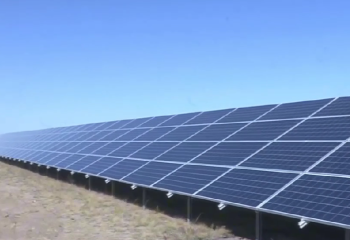 Қарағанды облысында субсидияға бөлінген 253 млн теңгені жымқырғандар сотталды