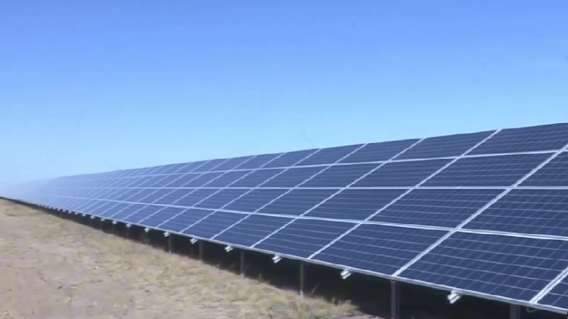  Видеодан алынған кадр 