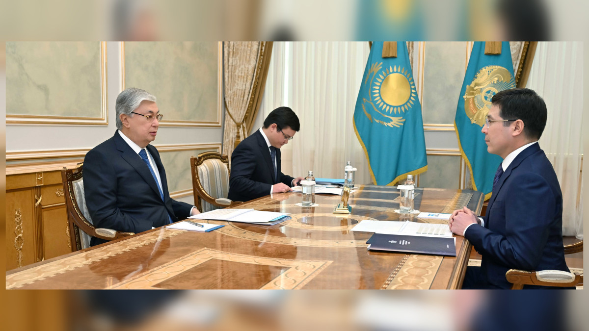 Head of State received Chairman of the Board of the Social Health Insurance Fund