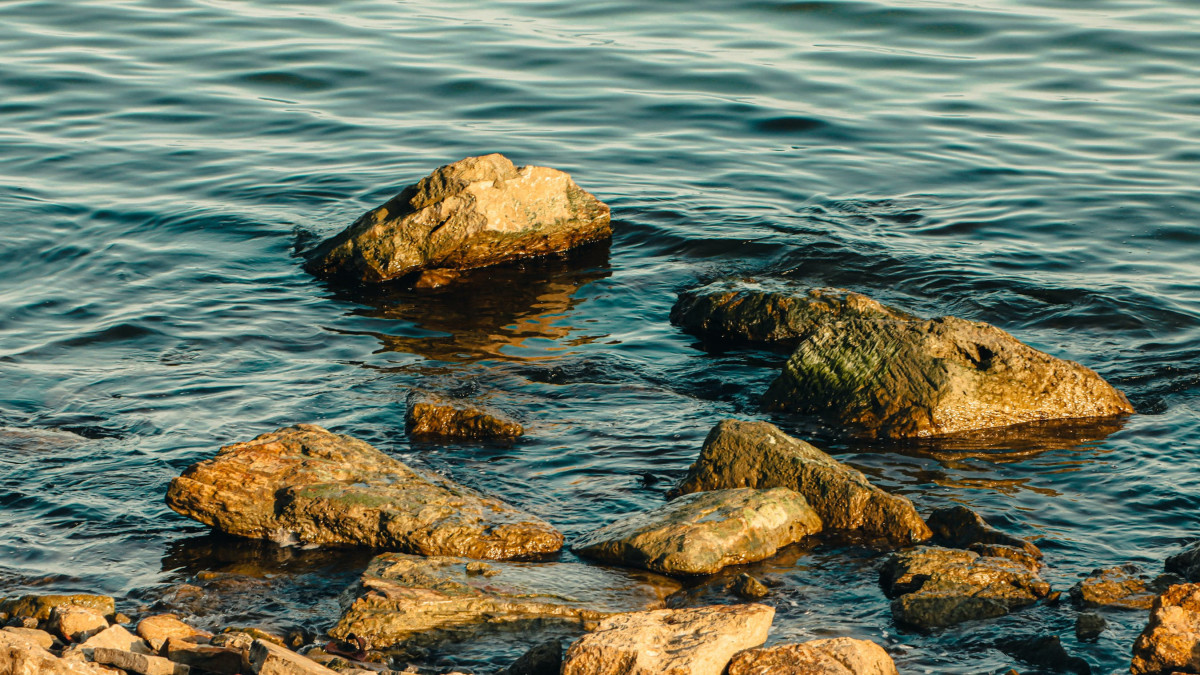  © Pexels.com 