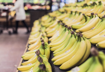 Бананда кездесетін жаңа вирустан 23 адам қайтыс болғаны рас па?