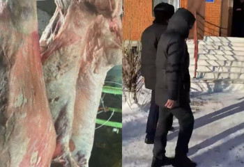 Тойына ақша тапқысы келген ер адам мал ұрлығымен ұсталды