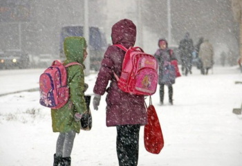 Оқушылар қысқы каникулға қашан шығады?