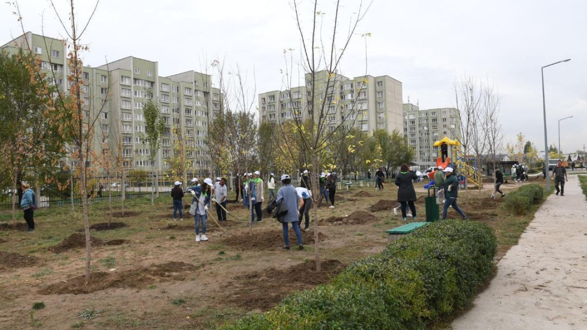 До конца 2023 года в Алматы будет высажено 320 тыс. деревьев и кустарников