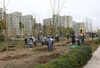 До конца 2023 года в Алматы будет высажено 320 тыс. деревьев и кустарников