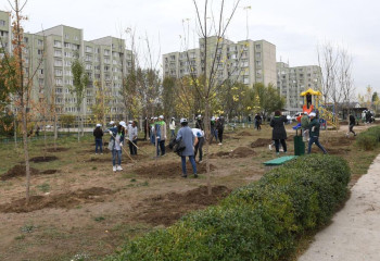 Жыл соңына дейін Алматыда 320 мың ағаш егілмек