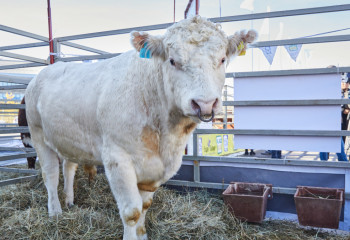 Как улучшилось субсидирование фермеров