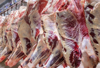 Қазақстандықтар ет және сүт өнімдерін көп тұтына бастады