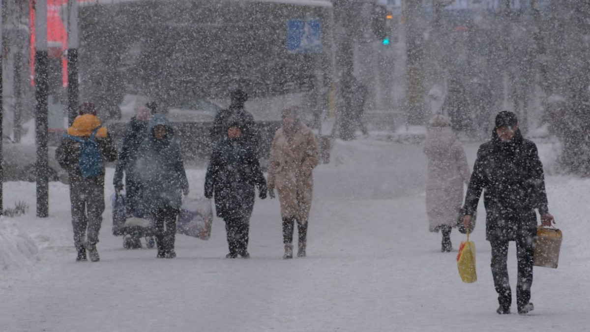 Сильный снегопад в Алматы: спасатели предупредили горожан