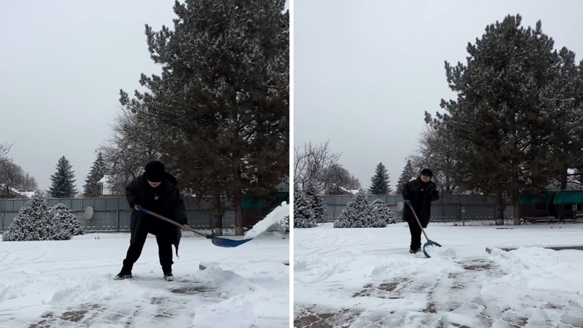  Видеодан кадр 