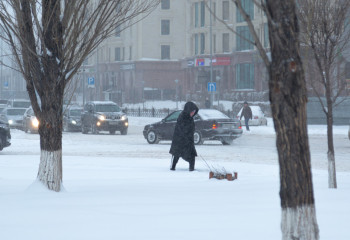 На юг Казахстана пришли сильные морозы до -30 градусов, синоптики сделали штормовое предупреждение