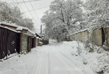 Алматинских школьников перевели на дистанционный формат обучения