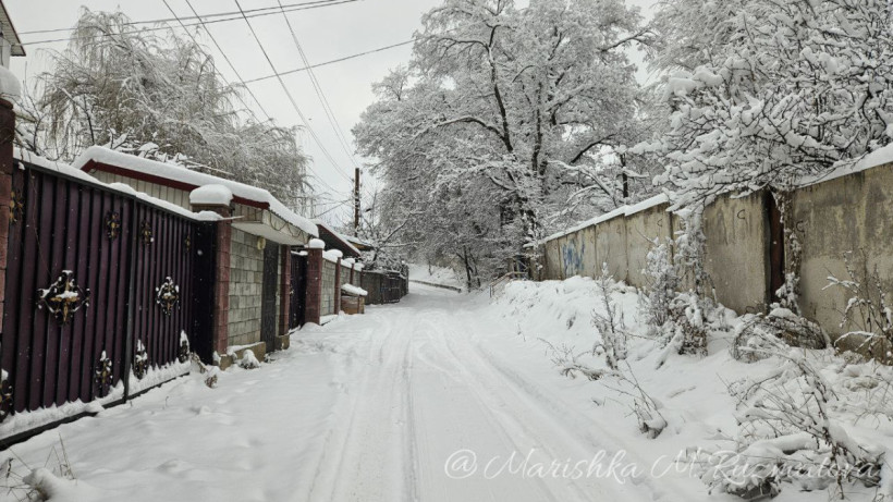  ©El.kz/Марина РУЗМАТОВА 