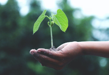 Kazakhstan takes 92nd place out of 178 in terms of environmental efficiency