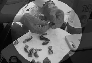 В Шымкенте женщина 