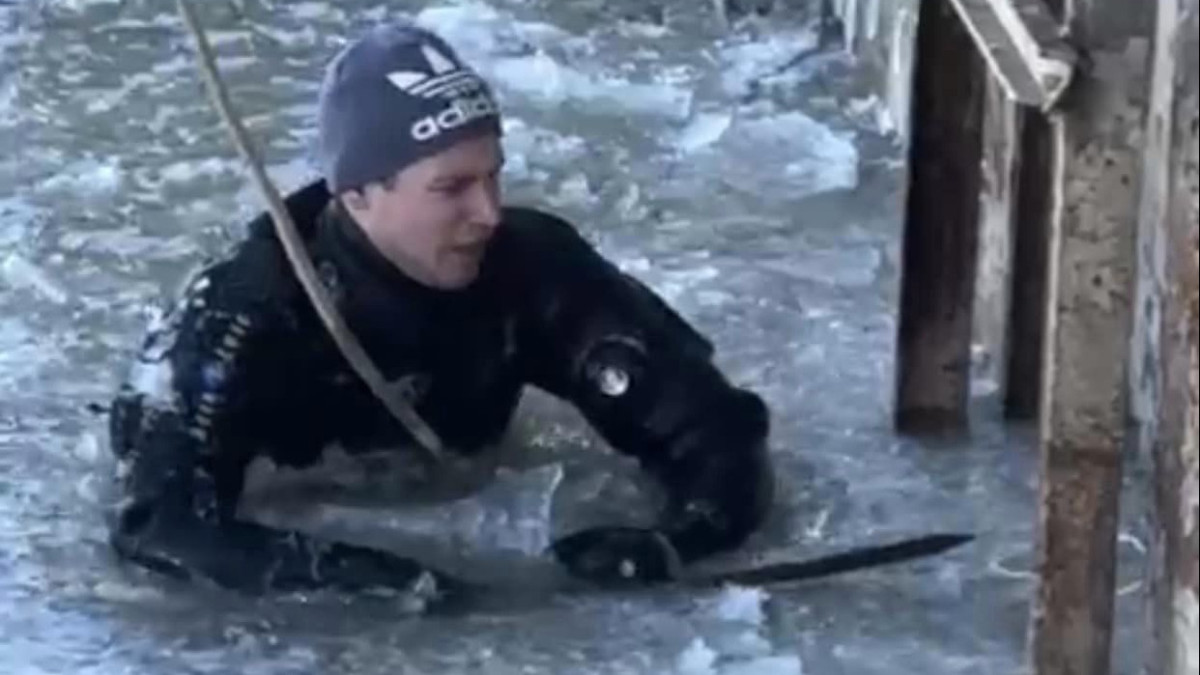 Кадр из видео 