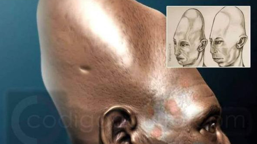  телеграм-канал 