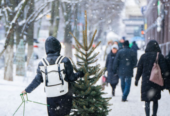 Қар, тұман, жел: бүгін ауа райы қандай болмақ?