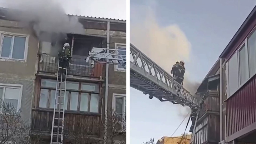  Видеодан кадр 