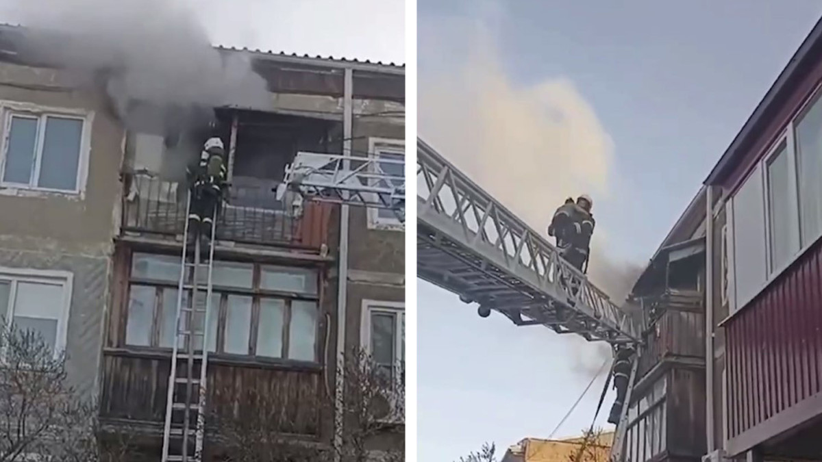  Видеодан кадр 