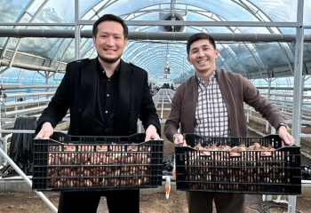 Бейбит Алибеков запустил производство тюльпанов в Казахстане