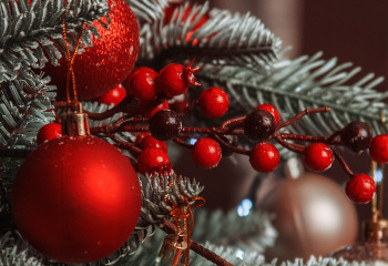 Жаңа жылға қалай дайындалу керек