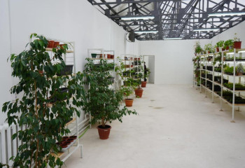 Подземную теплицу открыли в университете Караганды