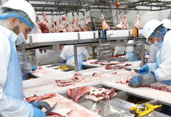 Meat, grain and milk processing projects to be priority for coming years in Kazakhstan