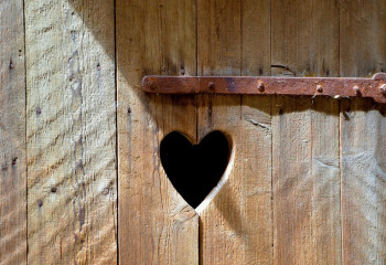 Годовалого малыша вытащил из уличного туалета 10-летний брат в Туркестанской области