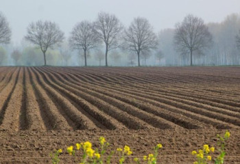 2023 жылы мемлекетке 4,6 млн гектар жер қайтарылды