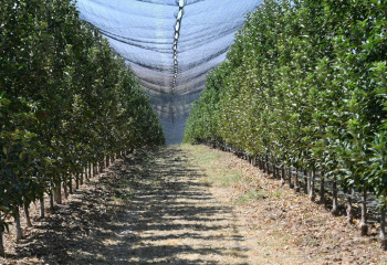 В Министерстве сельского хозяйства подвели итоги года