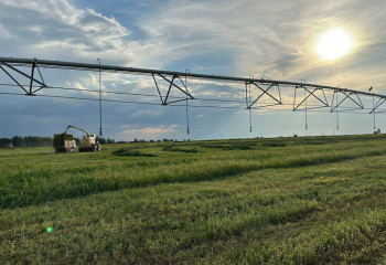 Жыл қорытындысы: Жаңа өндірістер мен ауыл шаруашылығы тауарын өндірушілерді қолдау