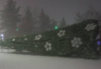 Ураган в Костанайской области: ветер повалил городскую елку и сорвал крышу многоэтажки