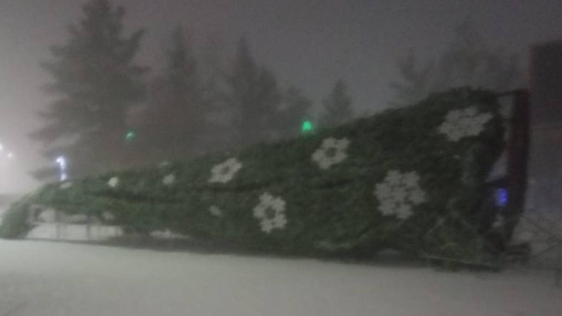  Кадр из видео/