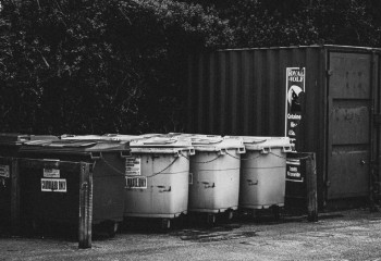 Мать, выбросившую младенца в мусорку, до сих пор ищут в Шымкенте