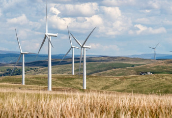 О развитии и перспективах зеленой экономики в Казахстане рассказала эксперт