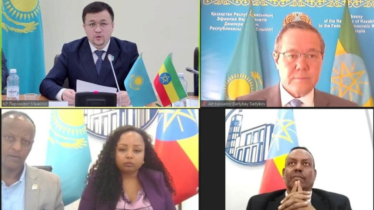 Парламентские группы дружбы Казахстана и Эфиопии налаживают сотрудничество