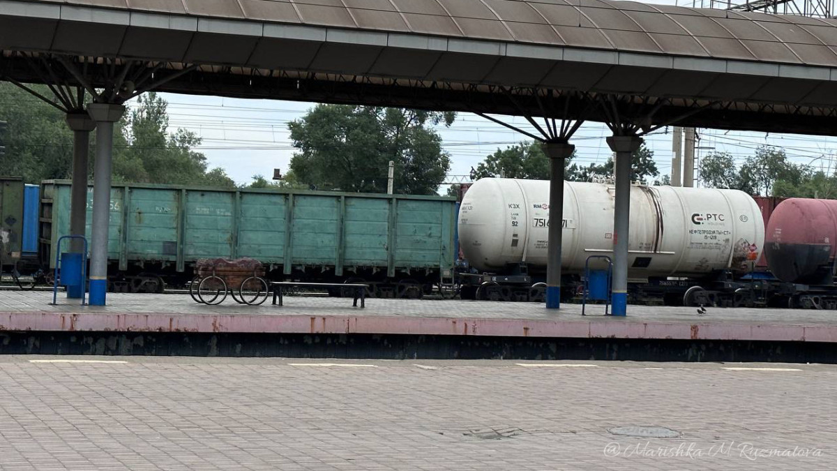 Объем транзитных перевозок железнодорожным транспортом в 2023 году вырос почти до 25 млн тонн в Казахстане
