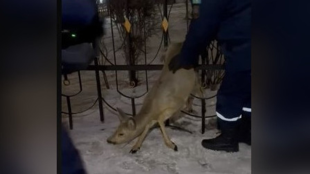  Кадр из видео 