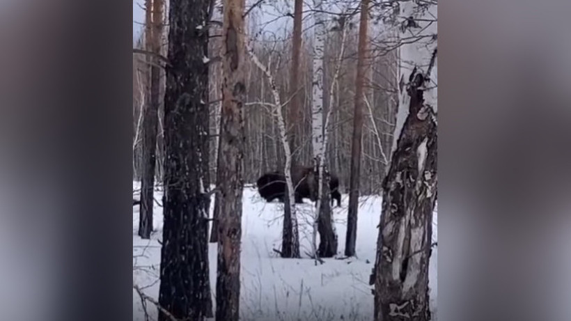  Кадр из видео 