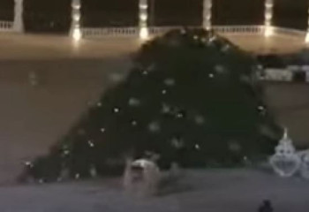 Ёлку на набережной Актау снесло порывом ветра