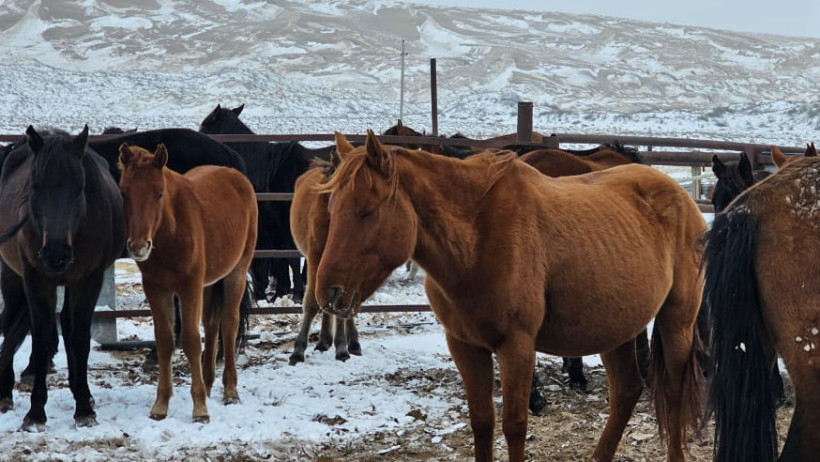  Әділет министрлігі 