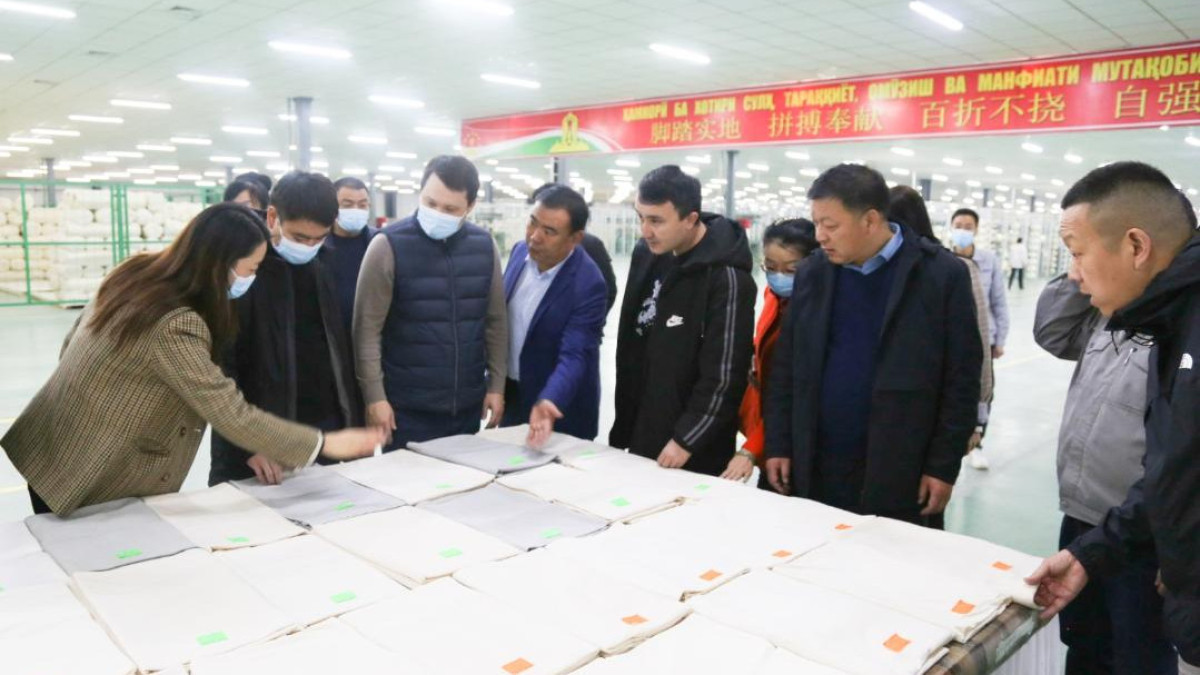 Chinese company ready to invest in development of cotton cluster in Turkestan region